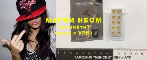 индика Протвино