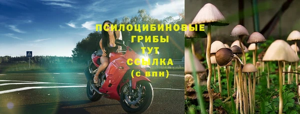 PSILOCYBIN Семикаракорск