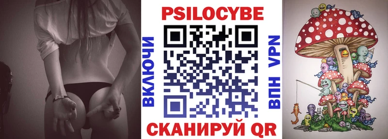 Галлюциногенные грибы Psilocybe  наркота  Сланцы 