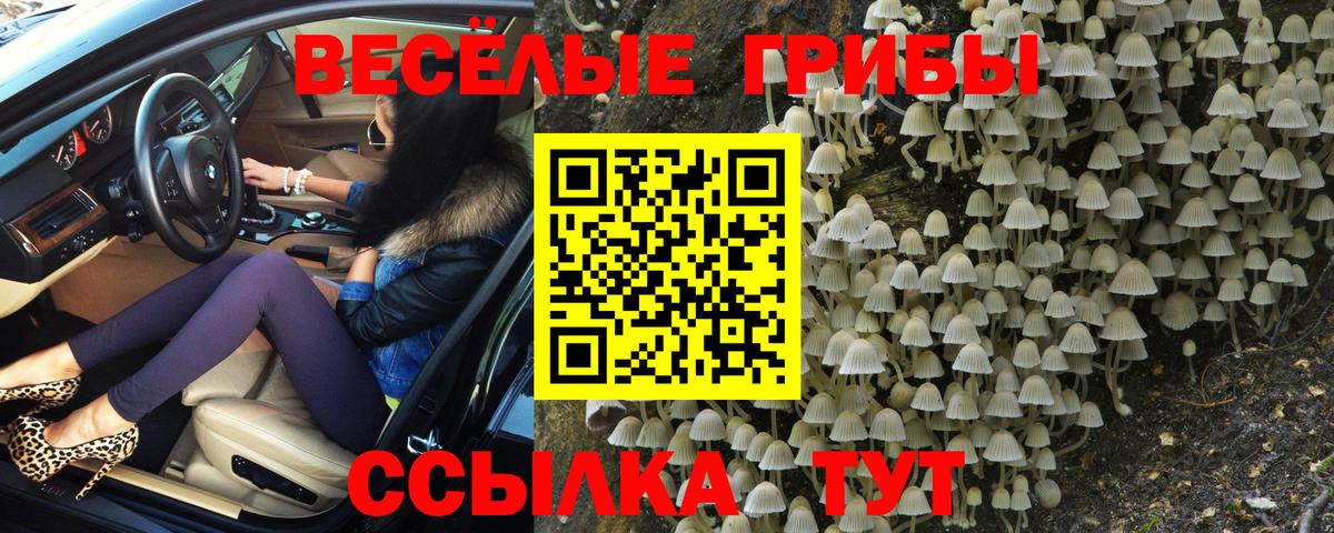 Сланцы  Галлюциногенные грибы MAGIC MUSHROOMS  Галлюциногенные грибы прущие грибы  Вход с VPN 