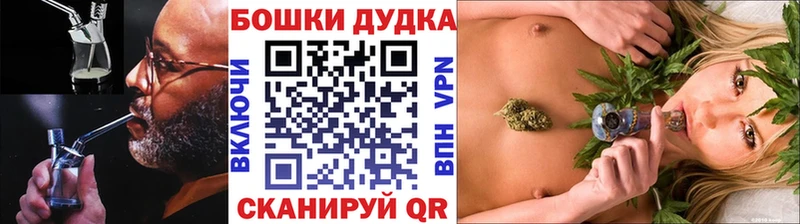 Бошки марихуана планчик  Сланцы 